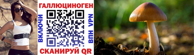 omg онион  Хадыженск  Галлюциногенные грибы Cubensis 